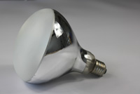 Heating Infrared Lamp R125